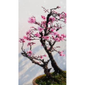 旅行风景4363