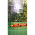 旅行风景4388