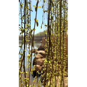 旅行风景4391