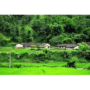 旅行风景4411