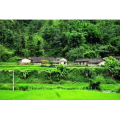 旅行风景4411