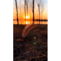 旅行风景4419