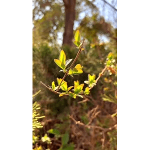 旅行风景4437