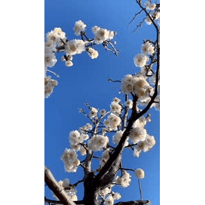 旅行风景4446