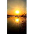 旅行风景4460