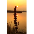 旅行风景4468