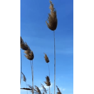 旅行风景4477