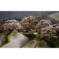 旅行风景4478