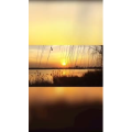 旅行风景4482