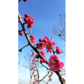旅行风景4484