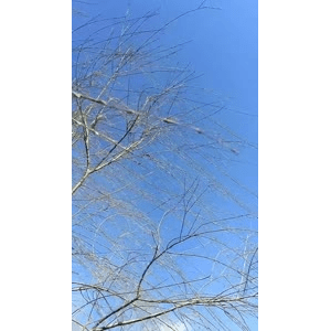 旅行风景4489