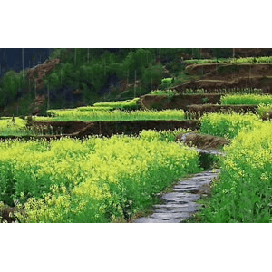 旅行风景4490