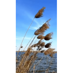 旅行风景4493