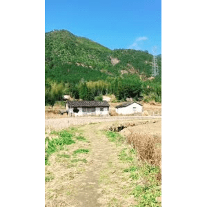旅行风景4498