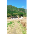 旅行风景4498
