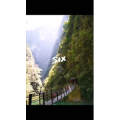 旅行风景4519