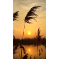 旅行风景4532