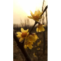旅行风景4543