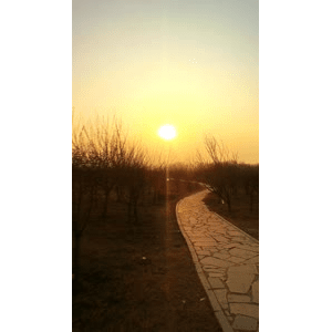 旅行风景4547
