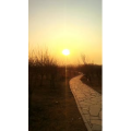 旅行风景4547