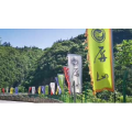 旅行风景4558