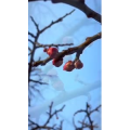 旅行风景4572
