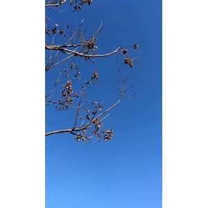 旅行风景4594