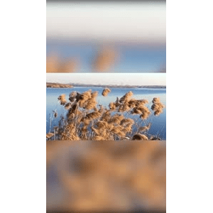 旅行风景4597