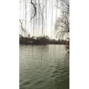 旅行风景4607