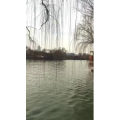 旅行风景4607