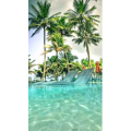 旅行风景4610