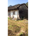 旅行风景4613