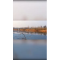 旅行风景4639
