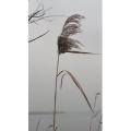 旅行风景4644