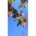 旅行风景4655