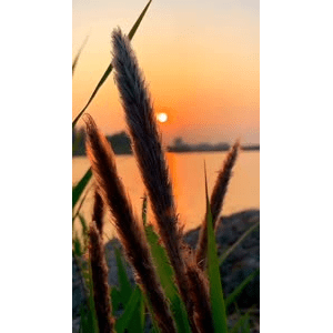 旅行风景4670