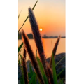 旅行风景4670