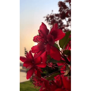 旅行风景4672