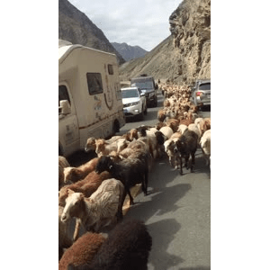 旅行风景4718