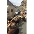 旅行风景4718