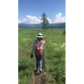 旅行风景4720