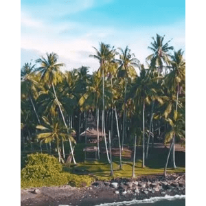 旅行风景4745