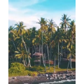 旅行风景4745