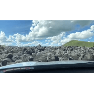 旅行风景4746