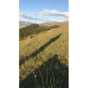 旅行风景4748