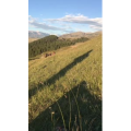 旅行风景4748
