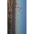 旅行风景4750