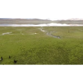 旅行风景4752