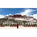 旅行风景4753