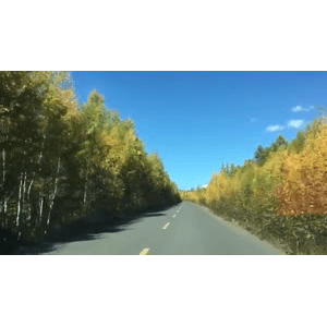 旅行风景4788